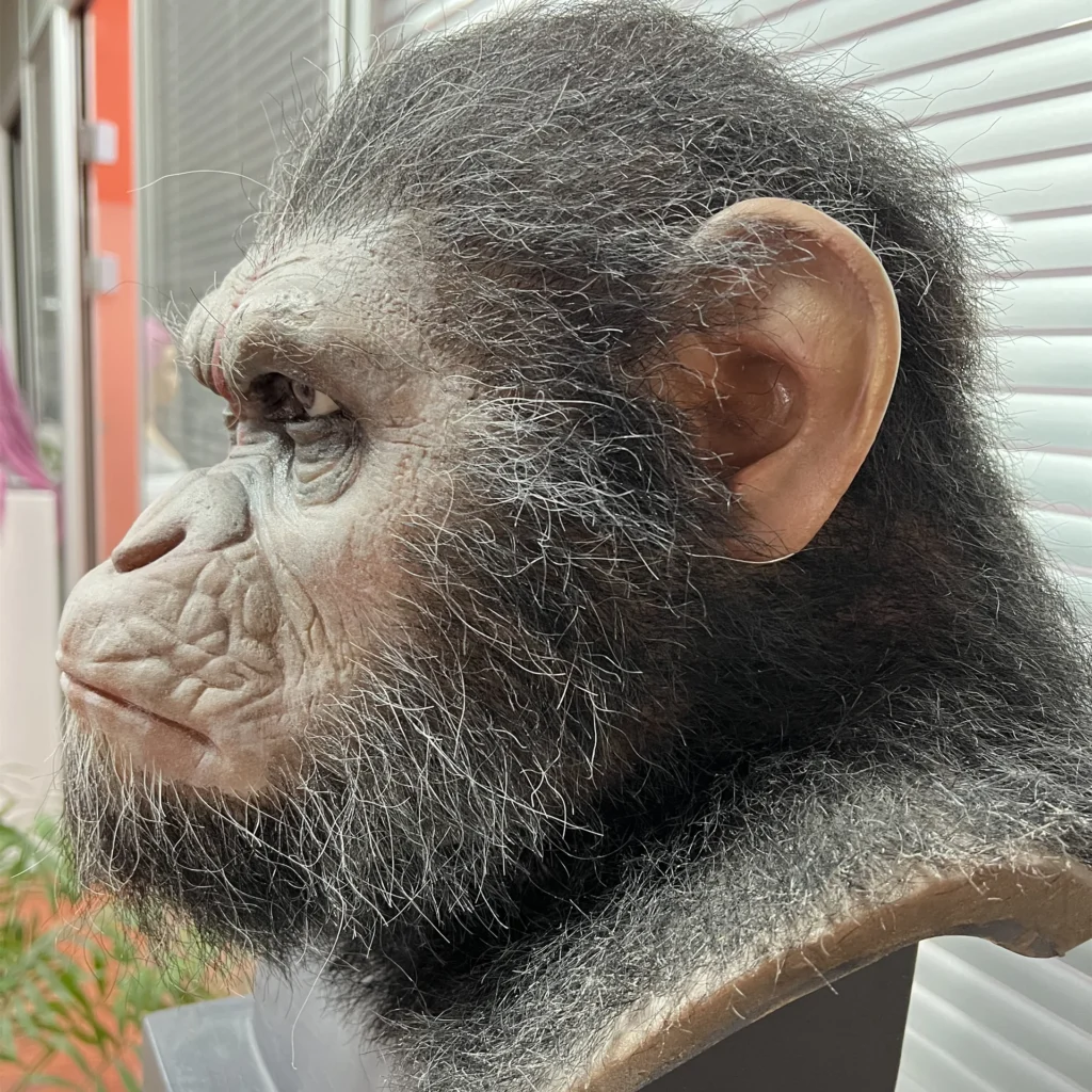 Caesar-inspired ape wax bust displayed on its freestanding base.